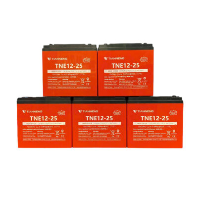Bộ 5 Bình Ắc Quy Xe Máy Điện Thiên Năng 60V 25Ah 7 bo 5b ac quy xe may dien thien nang 60v 25ah hinh 1 1