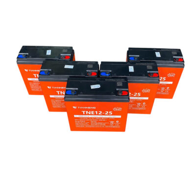 Bộ 5 Bình Ắc Quy Xe Máy Điện Thiên Năng 60V 25Ah 8 bo 5b ac quy xe may dien thien nang 60v 25ah hinh 2 1