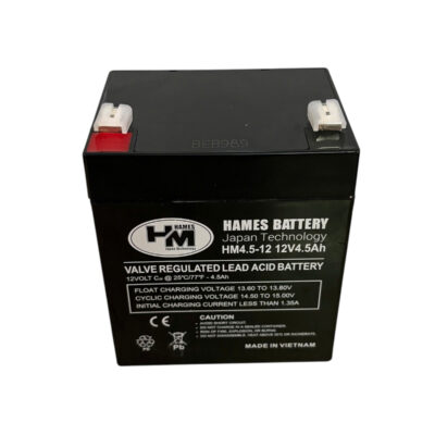 ac quy 12v 4.5ah hames hm4.5 12 hinh 1
