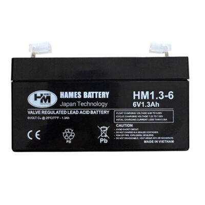 ac quy 6v 1.3ah hames hm1.3 6 diennang 3