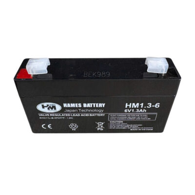 ac quy 6v 1.3ah hames hm1.3 6 diennang1