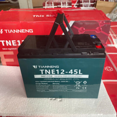 ac quy thien nang 12v 45ah diennang 7