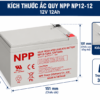 np12 12 npp hinh 1