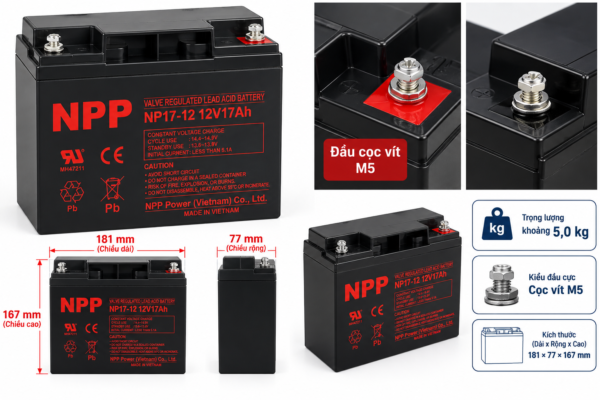 np17 12 npp hinh 1